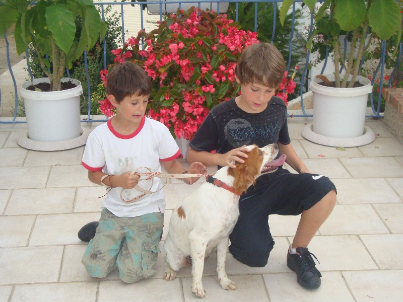 Azy du bois d'Annie